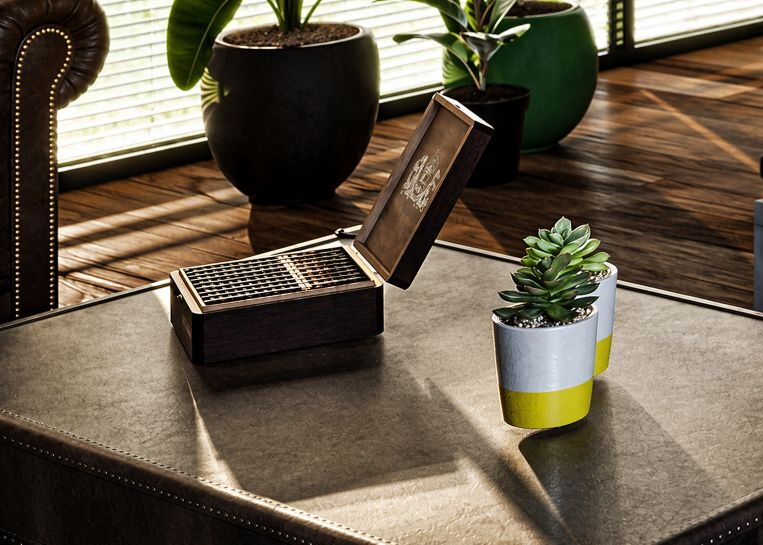 Detailaufnahme einer dekorativen Pflanze auf einem massiven Holztisch in einem modernen Wohnzimmer.