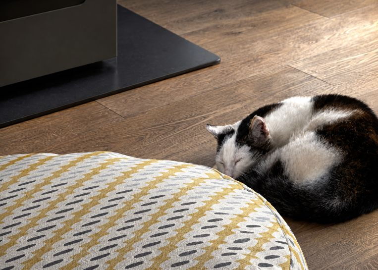 Nahaufnahme einer schlafenden Katze auf dem Boden neben einem Sitzkissen, die die wohlige Wärme des Pelletofens verdeutlicht.